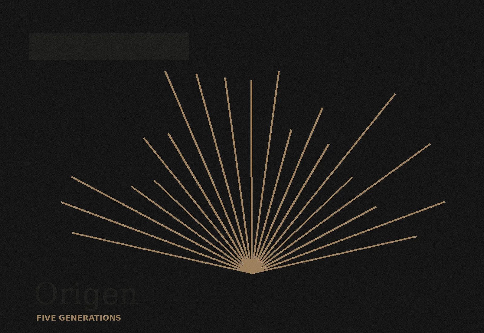 3000 Noches — aplicación visual